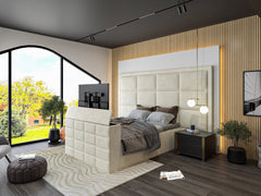 Arne Upholstered TV Bed Frame
